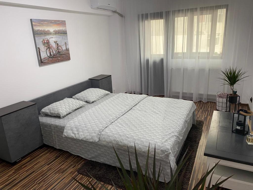 Apartament Exclusive Targu Ocna Экстерьер фото