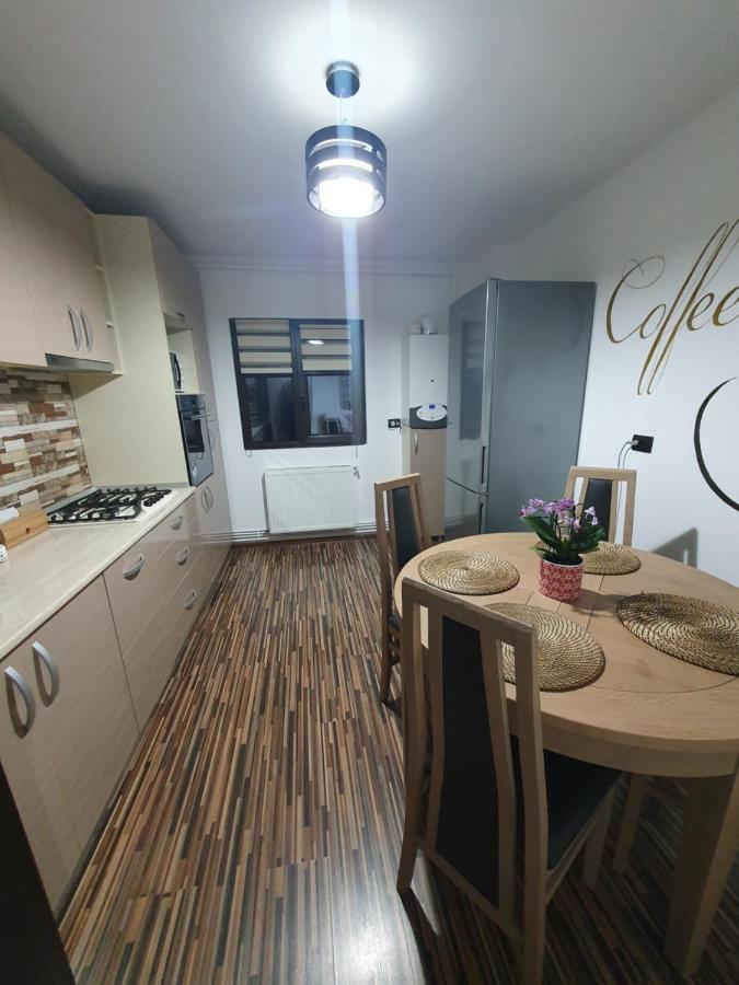 Apartament Exclusive Targu Ocna Экстерьер фото